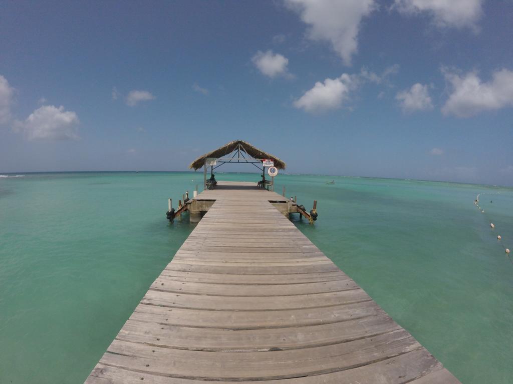 Fish Tobago Guesthouse Buccoo Εξωτερικό φωτογραφία
