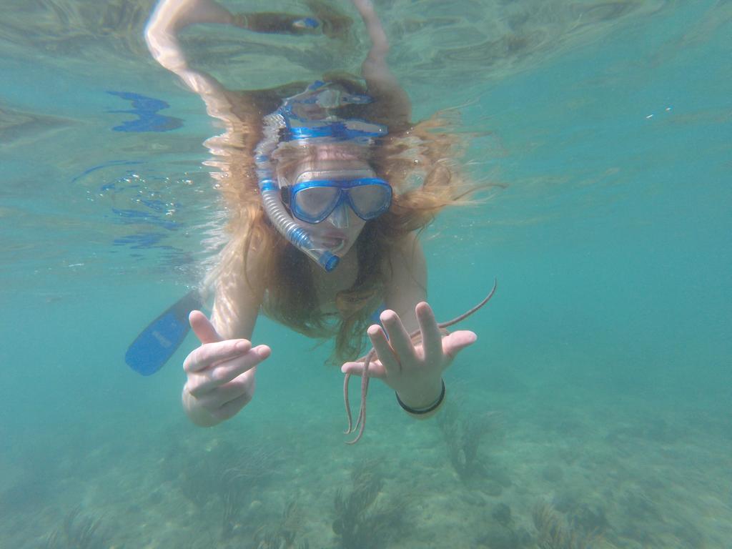 Fish Tobago Guesthouse Buccoo Εξωτερικό φωτογραφία