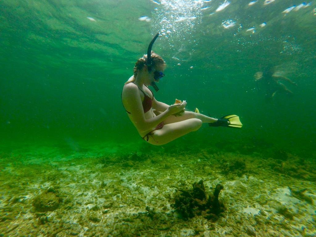 Fish Tobago Guesthouse Buccoo Εξωτερικό φωτογραφία