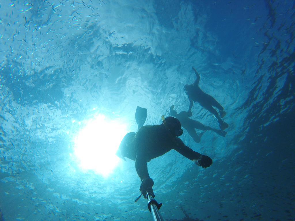 Fish Tobago Guesthouse Buccoo Εξωτερικό φωτογραφία