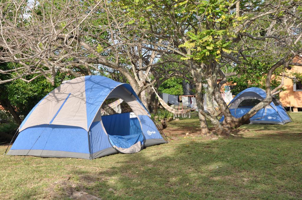 Fish Tobago Guesthouse Buccoo Εξωτερικό φωτογραφία